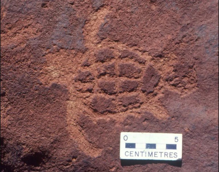 Archaeology and Rock Art in the Dampier Archipelago